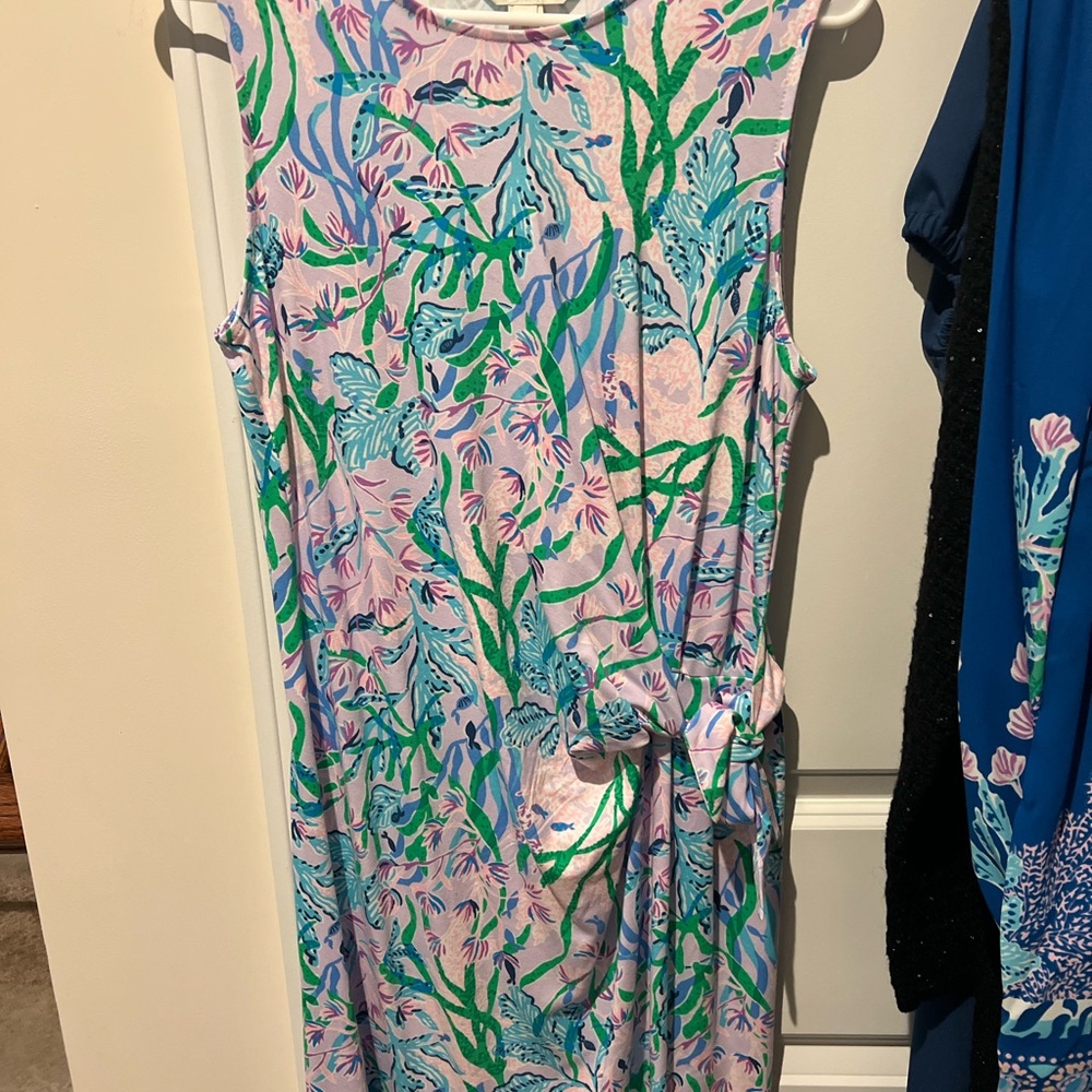 Lilly Pulitzer Multi-Color Bryson Dress